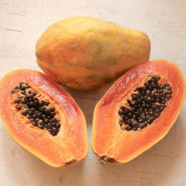 Papaya