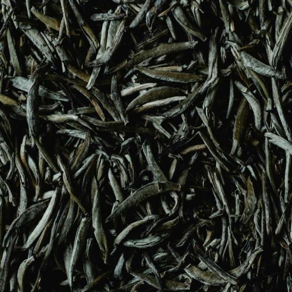 tea-leaf