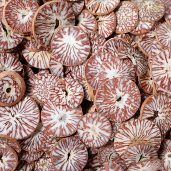 areca-nut
