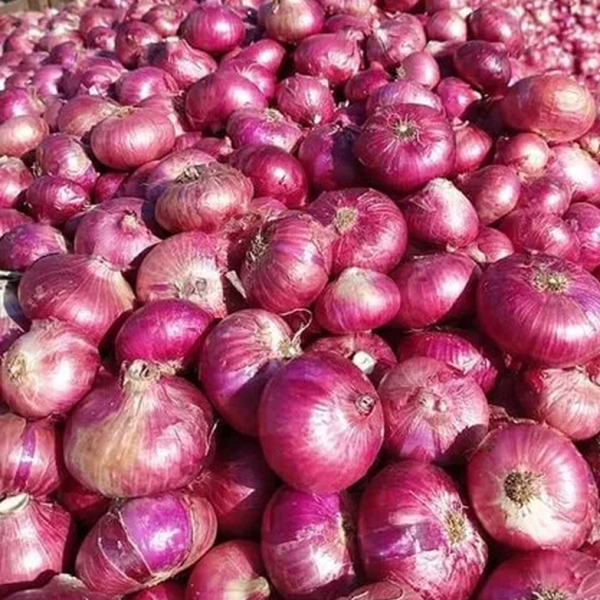 onions