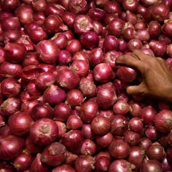 onions