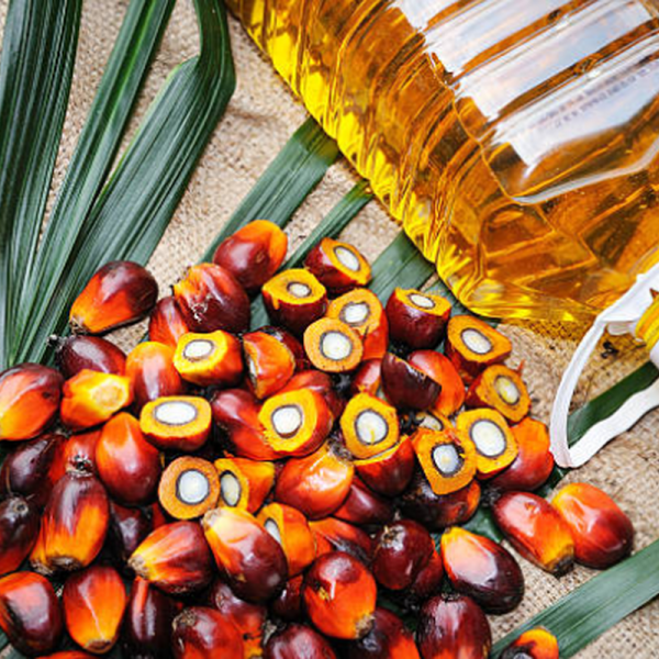 palm-oil