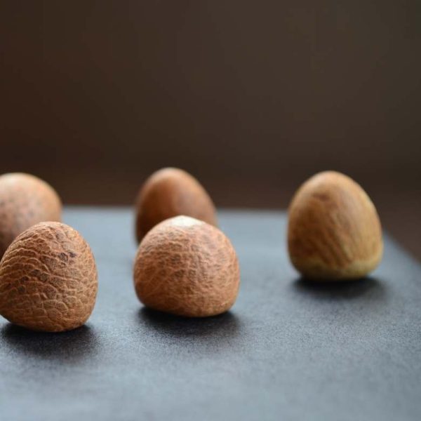 areca-nut
