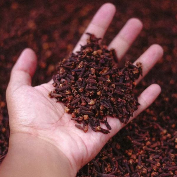 cloves