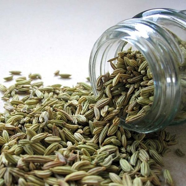 funnel-seeds