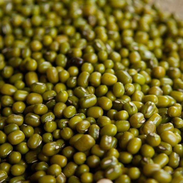 green-mung