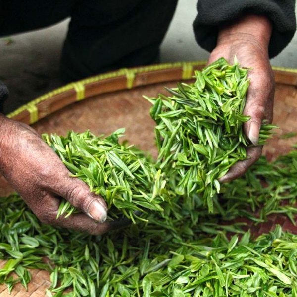 tea