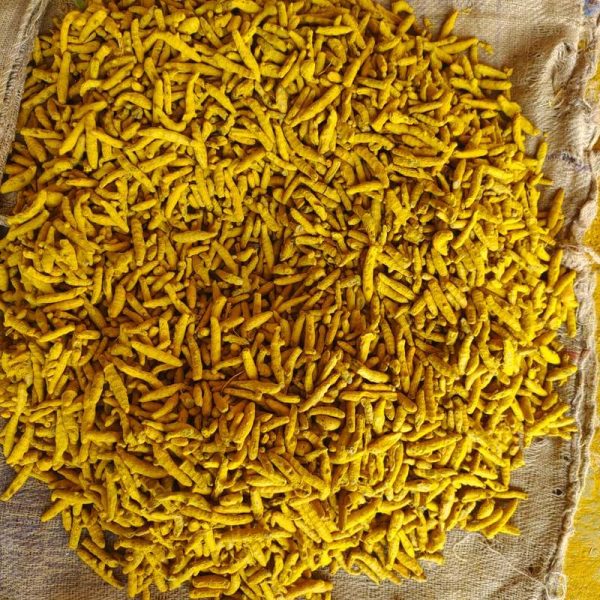 turmeric
