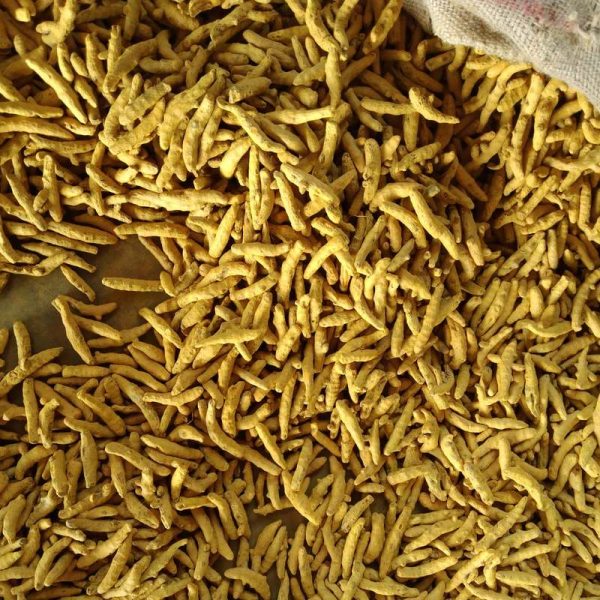 turmeric