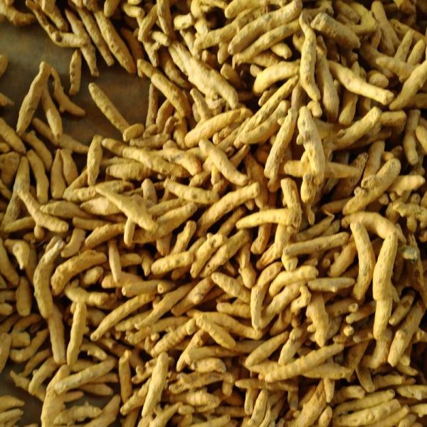 turmeric