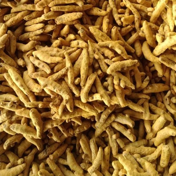 turmeric