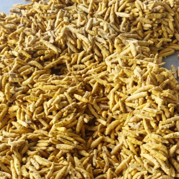 turmeric