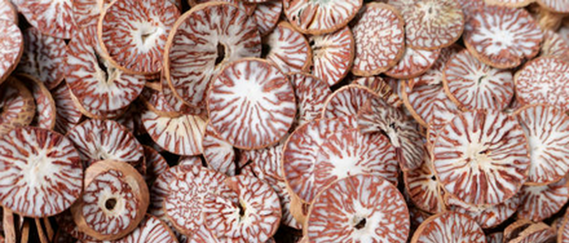 High Quality Areca Nut